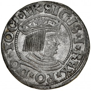 Zygmunt I Stary 1506-1548, Grosz 1532, Gdańsk. R.