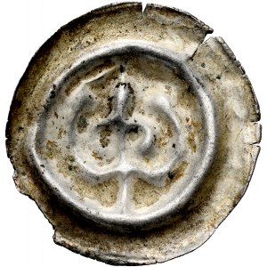 Pomorze Wschodnie, Świątopełk II Wielki 1217-1266, Brakteat guziczkowy, Pomorze Gdańskie, Av.: Lilia, RR.