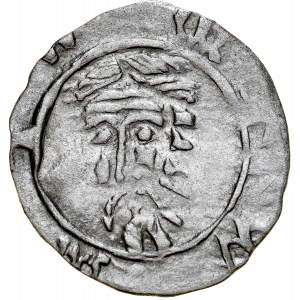 Silesia, Sigismund of Luxembourg 1419-1437, Halerz ca. 1422, Av.: Head of St. John, Rv.: Bohemian Lion, Wroclaw.