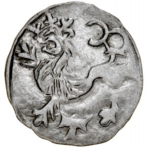 Silesia, Sigismund of Luxembourg 1419-1437, Halerz ca. 1422, Av.: Head of St. John, Rv.: Bohemian Lion, Wroclaw.