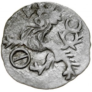 Slesia, Sigismondo di Lussemburgo 1419-1437, Halerz ca. 1422, Av.: Testa di San Giovanni, Rv.: Leone boemo, Breslavia.