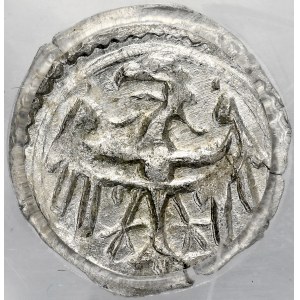 Silesia, Halerz 15th century, Av: St. Piort, Rv: Silesian Eagle, Legnica.