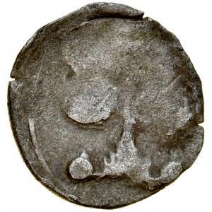 Pomorze Zachodnie, Denar XV w., Trzebiatów, Treptow. Av.: Liść, Rv.: Gryf.