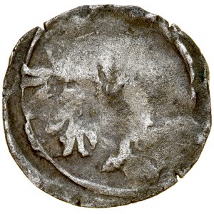 Pomorze Zachodnie, Denar XV w., Trzebiatów, Treptow. Av.: Liść, Rv.: Gryf.