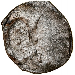 Vorpommern, Herzogtum Szczecin, Kasimir V. 1428-1435, Denar, Szczecin, Stettin, Av.: gotischer Buchstabe C, Rv.: Greifen.