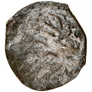 Pomorze Zachodnie, Księstwo Szczecińskie, Kazimierz V 1428-1435, Denar, Szczecin, Stettin, Av.: Gotycka litera C, Rv.: Gryf.