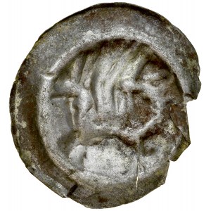 Western Pomerania, Large Brakteat, Av.: Griffin. RR.