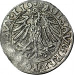 RR-, Sigismund II Augustus, Half-penny 1557 error MONEIA, Vilnius, LI9/LITVA