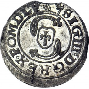 Sigismund III Vasa, 1627 Shelrogue, Vilnius, minted