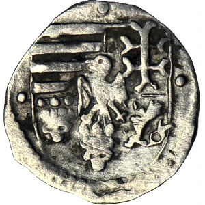 Węgry, Władysław II Jagiellończyk, obol 1500-1502 K h, Kremnica