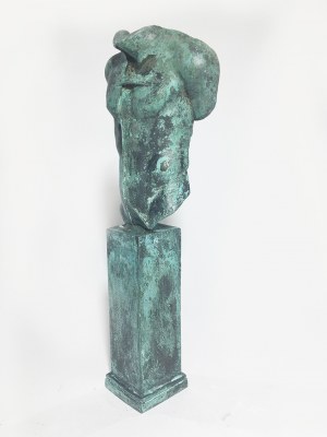 Igor Mitoraj, Torso