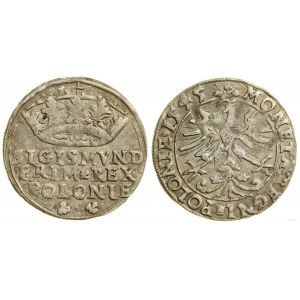 Polen, Pfennig, 1545, Krakau
