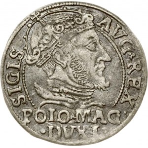 Lithuania Polish Grosz 1547 Vilnius