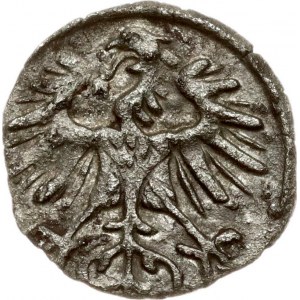 Lithuania Denar 1554 Vilnius (R3)