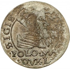 Lithuania Polish Grosz 1566 Tykocin Jastrzebiec (R5)