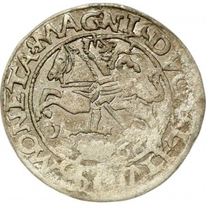 Lithuania Polish Grosz 1566 Tykocin Jastrzebiec (R5)