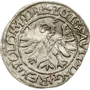 Lithuania Polgrosz 1566 Tykocin (R5)