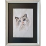 Izabela Bernat, Ragdoll, 2023