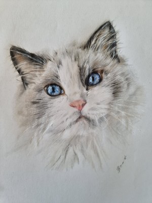 Izabela Bernat, Ragdoll, 2023