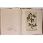 AUDUBON John James - BIRDS THE AMERICA - THE ORIGINAL WATER-COLOR PAINTINGS Vol. I-II - 431 TABLIC