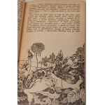 JANCZARSKI Jacek - KOCHAM PANA, PANIE SUŁKU Wydanie 1