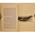KOTT Jan - POWIASTKI DLA WNUCZEK