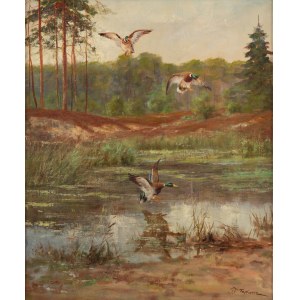 Georg Majewicz (1897 - 1965), Canards sauvages en vol au-dessus d'un étang