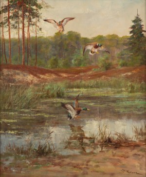 Georg Majewicz (1897 - 1965), Dzikie kaczki w locie nad stawem