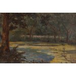 Wincenty Wodzinowski (1866 Igołomia bei Miechów - 1940 Kraków), Teich im Wald