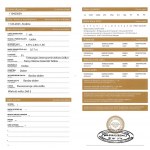 Diament 0.17 CT wycena:688$USD