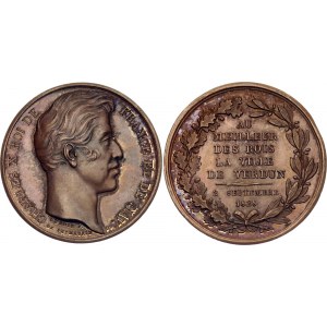 France Bronze Medal Charles X 1828