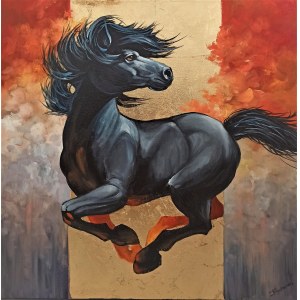 Tomasz Bednarski, Black pony