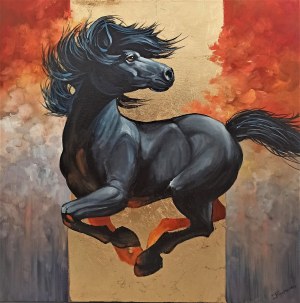 Tomasz Bednarski, Black pony