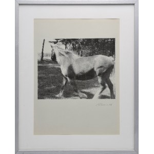 Jan TARASIN (1929-2009), Horse, 1990
