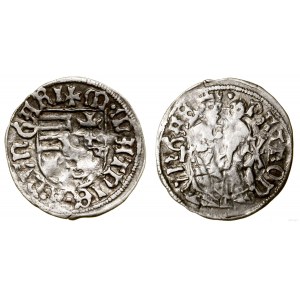 Węgry, denar, 1479-1485, Kremnica