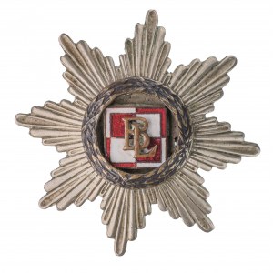 Odznaka pamiątkowa Batalion Lotnictwa - Poznań