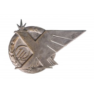 Odznaka 1 Pułk Lotniczy - żołnierska