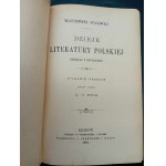 Włodzimierz Spasowicz History of Polish Literature Year 1891