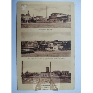 Rybnik, rzeźnia, browar, fabryka kwasu, ok. 1920