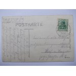 Ruja, Royn k. Legnica, browar, pałac, ulica, dworzec, 1910