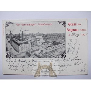 Chojnów, Haynau, browar, parowy, 1905