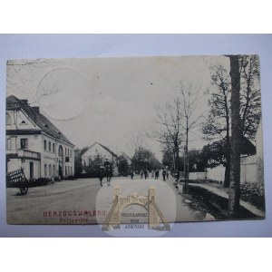 Niedaszów k. Jawor, ulica, 1908