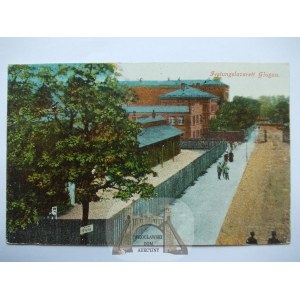 Głogów, Glogau, Lazarett, 1917