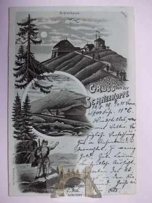 Karkonosze, Riesengebirge, Śnieżka, Liczyrzepa, księżycówka, 1911