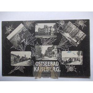 Krynica Morska, Kahlberg, 6 widoków, ozdobna winieta - osty, 1907