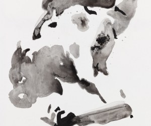 Arkadiusz Drawc (ur. 1987, Gdynia), 