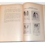 KAMOCKI - HANDBUCH DER JAGD, veröffentlicht 1927