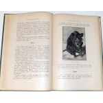 KAMOCKI - HANDBUCH DER JAGD, veröffentlicht 1927