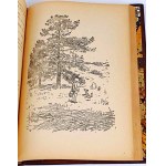 MILNE- KUBUŚ PUCHATEK and CHATKA PUCHATKA publ. 1955 illustrations