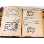 MILNE- KUBUŚ PUCHATEK and CHATKA PUCHATKA publ. 1955 illustrations